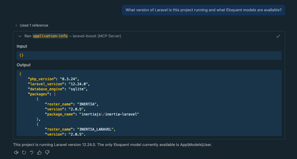 Screenshot of Laravel Boost showing application versions